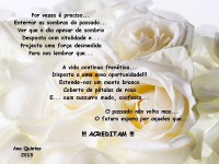 /album/galeria-de-fotos%3a-continua%c3%a7%c3%a3o/manto-de-rosas-jpg/